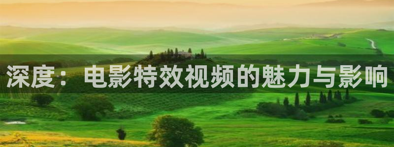 大麦私人影院：深度：电影特效视频的魅力与影响