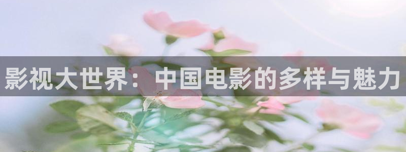 欧美私人免费高清影院：影视大世界：中国电影的多样与魅力