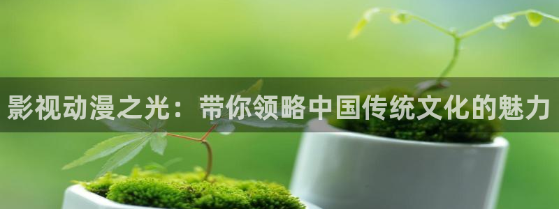 怎么开一个私人影院：影视动漫之光：带你领略中国传统文化的魅力